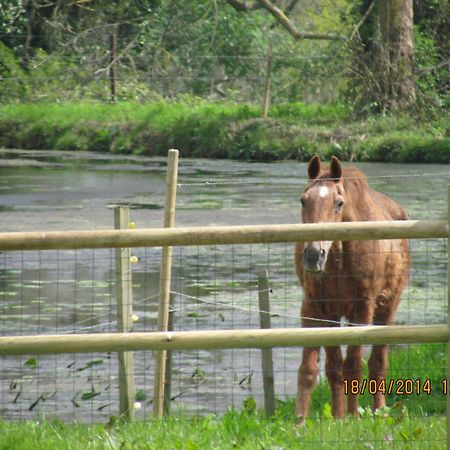 Willa L'Orangerie Du Grand Jardin Condé-sur-Seulles Zewnętrze zdjęcie